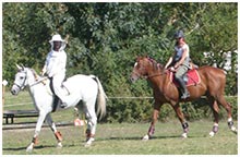 centre equestre